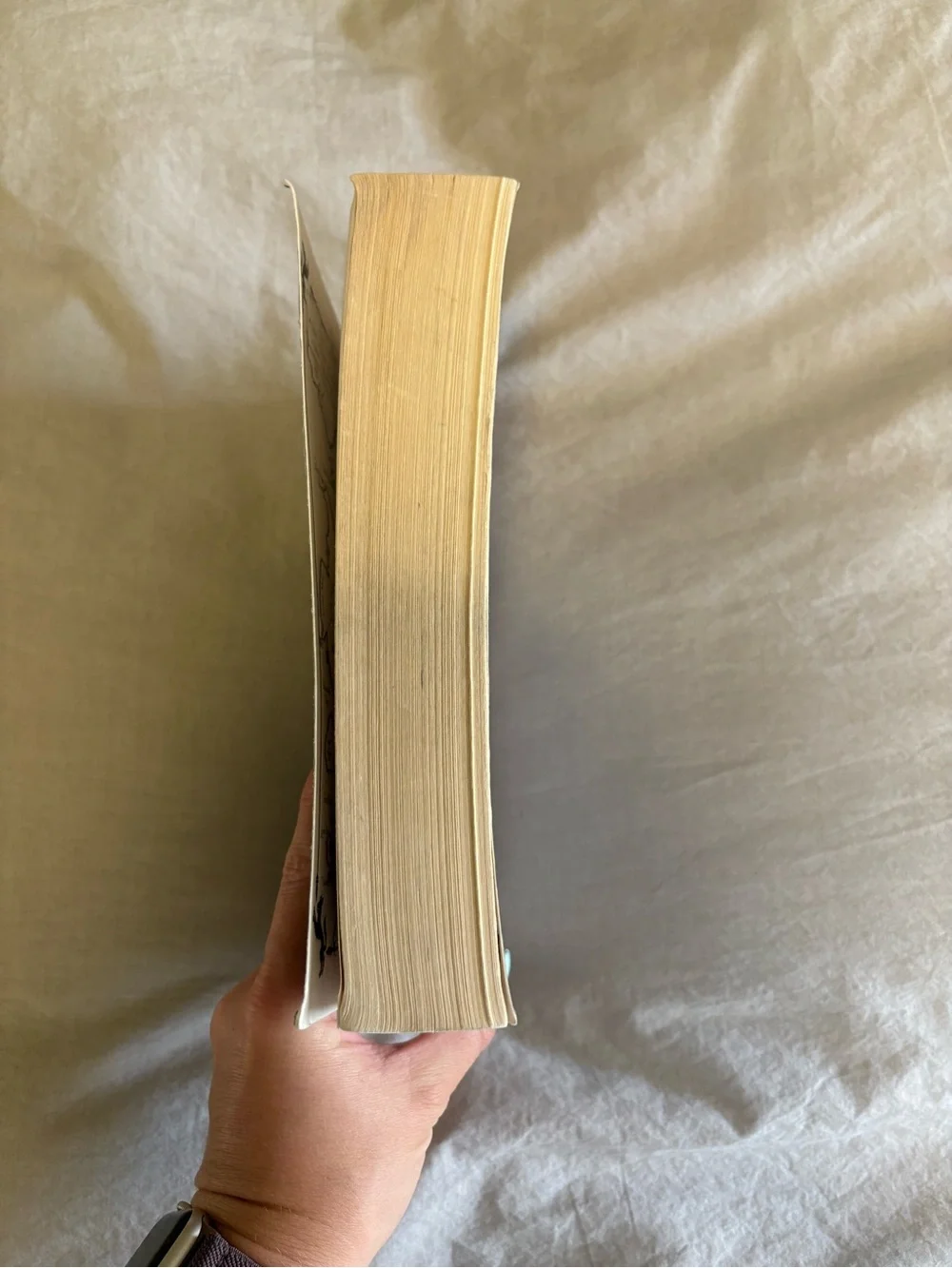 Game of Thrones Paperback Book